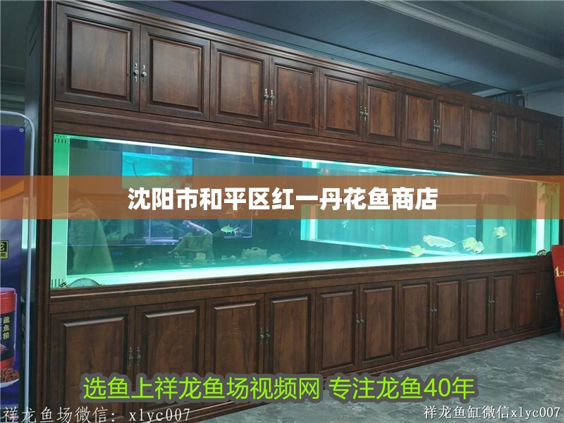 沈陽市和平區紅一丹花魚商店