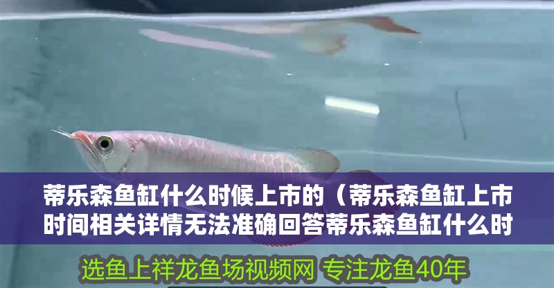 蒂樂森魚缸什么時候上市的（蒂樂森魚缸上市時間相關詳情無法準確回答蒂樂森魚缸什么時候上市）