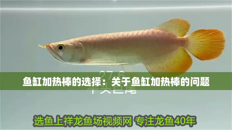 魚缸加熱棒的選擇：關(guān)于魚缸加熱棒的問題 魚缸加熱棒的選擇：關(guān)于魚缸加熱棒的問題 魚缸百科