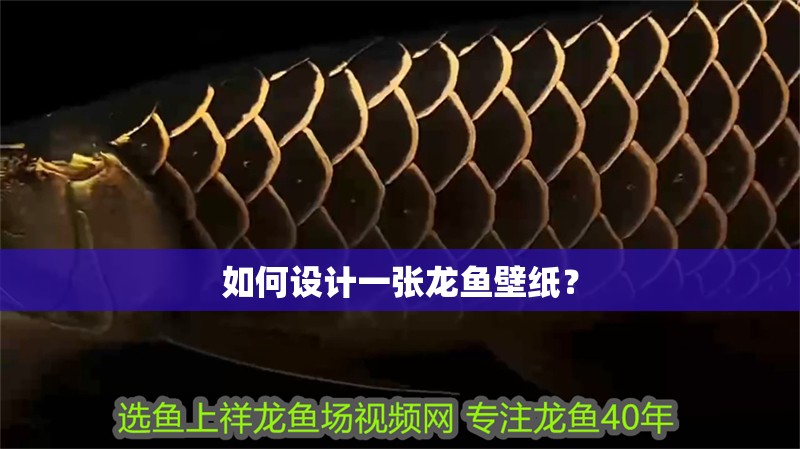 如何設(shè)計一張龍魚壁紙？ 如何設(shè)計一張龍魚壁紙？ 龍魚論壇