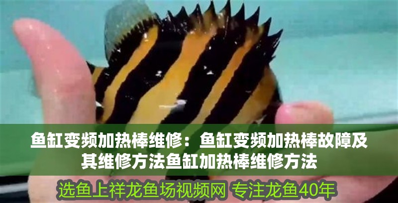 魚缸變頻加熱棒維修：魚缸變頻加熱棒故障及其維修方法魚缸加熱棒維修方法 魚缸變頻加熱棒維修：魚缸變頻加熱棒故障及其維修方法魚缸加熱棒維修方法 魚缸百科