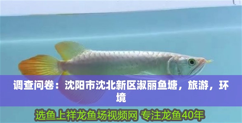 魚缸過濾器選購指南:自制魚缸過濾器魚缸上置過濾器對于養魚愛好者的必備知識 調查問卷:沈陽市沈北新區淑麗魚塘,旅游,環境 全國水族館企業名錄 調查問卷:沈陽市沈北新區淑麗魚塘,旅游,環境 調查問卷:沈陽市沈北新區淑麗魚塘,旅游,環境 全國水族館企業名錄