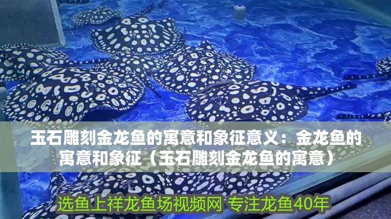 玉石雕刻金龍魚的寓意和象征意義：金龍魚的寓意和象征（玉石雕刻金龍魚的寓意） 玉石雕刻金龍魚的寓意和象征意義：金龍魚的寓意和象征（玉石雕刻金龍魚的寓意） 龍魚百科