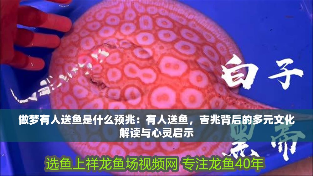 做夢(mèng)有人送魚(yú)是什么預(yù)兆：有人送魚(yú)，吉兆背后的多元文化解讀與心靈啟示