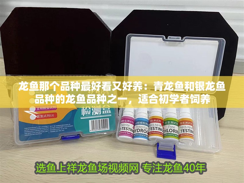 魚缸用增氧泵價格是多少:魚缸增氧機-xtrac增氧機-xtrac增氧機 龍魚那個品種最好看又好養:青龍魚和銀龍魚品種的龍魚品種之一,適合初學者飼養 龍魚百科 龍魚那個品種最好看又好養:青龍魚和銀龍魚品種的龍魚品種之一,適合初學者飼養 龍魚那個品種最好看又好養:青龍魚和銀龍魚品種的龍魚品種之一,適合初學者飼養 龍魚百科