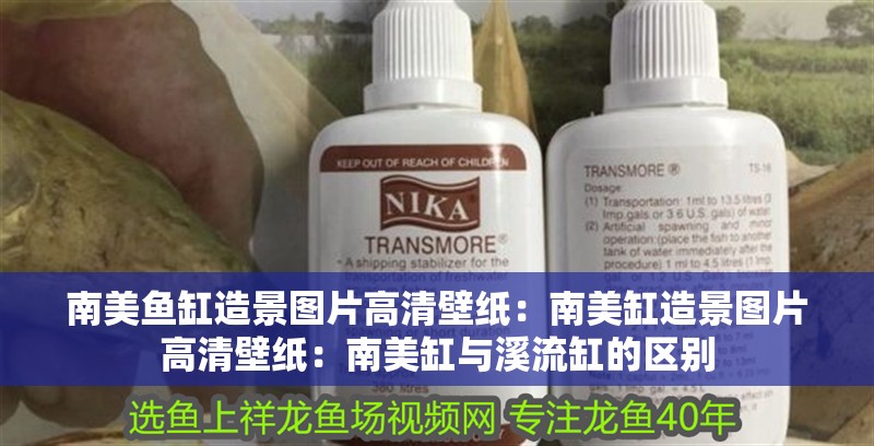 南美魚缸造景圖片高清壁紙：南美缸造景圖片高清壁紙：南美缸與溪流缸的區別