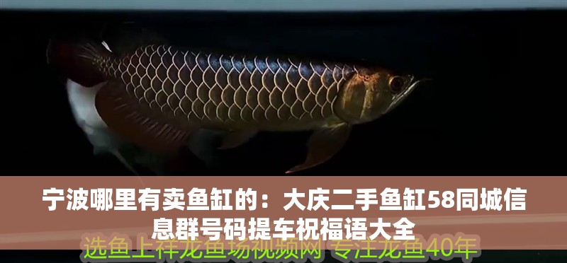 寧波哪里有賣魚(yú)缸的：大慶二手魚(yú)缸58同城信息群號(hào)碼提車祝福語(yǔ)大全