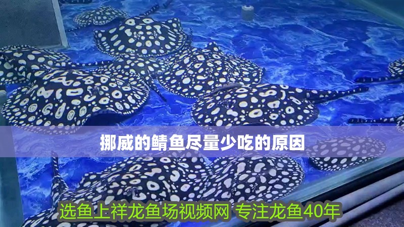 挪威的鯖魚盡量少吃的原因 挪威的鯖魚盡量少吃的原因 龍魚論壇