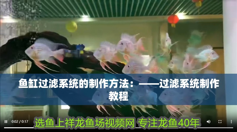 魚缸過濾系統的制作方法：——過濾系統制作教程