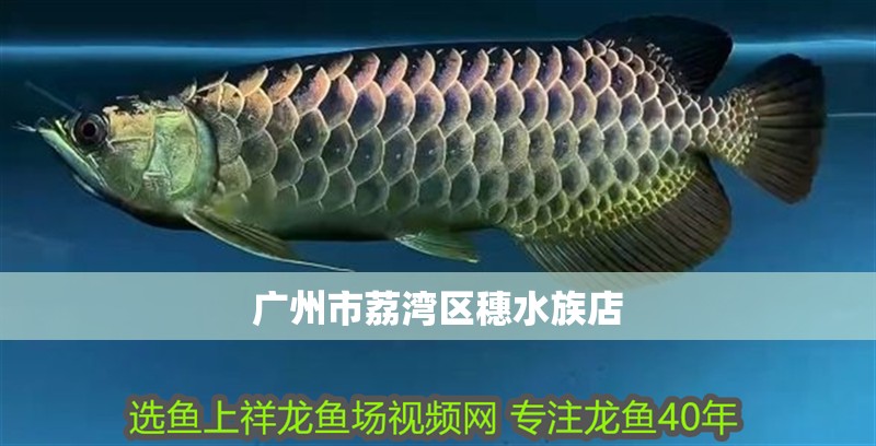 廣州市荔灣區穗水族店 廣州市荔灣區穗水族店 全國水族館企業名錄