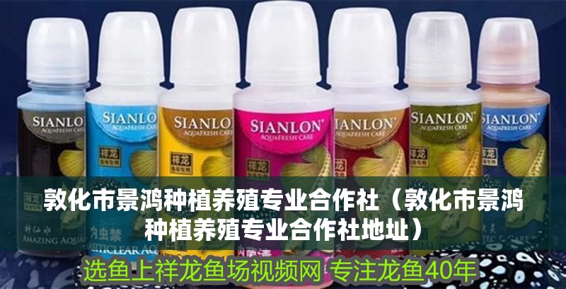 <strong><mark>敦化</mark></strong>市景鴻種植養殖專業合作社（<strong><mark>敦化</mark></strong>市景鴻種植養殖專業合作社地址）