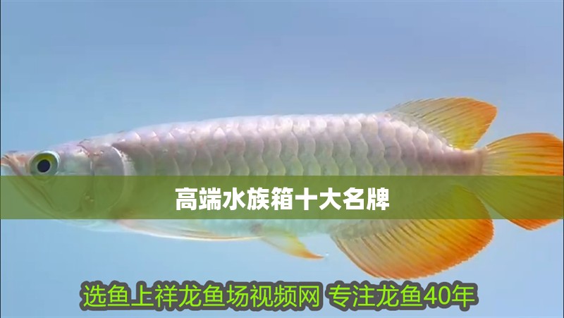 高端水族箱十大名牌