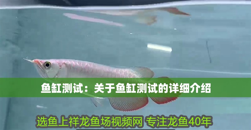 魚缸測試：關(guān)于魚缸測試的詳細(xì)介紹 魚缸測試：關(guān)于魚缸測試的詳細(xì)介紹 魚缸百科