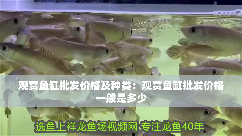 觀賞魚缸批發(fā)價(jià)格及種類：觀賞魚缸批發(fā)價(jià)格一般是多少