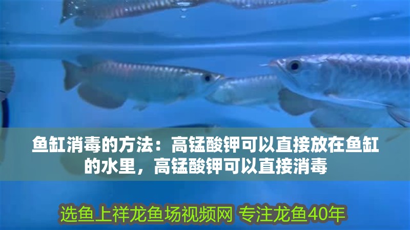 魚缸消毒的方法：高錳酸鉀可以直接放在魚缸的水里，高錳酸鉀可以直接消毒
