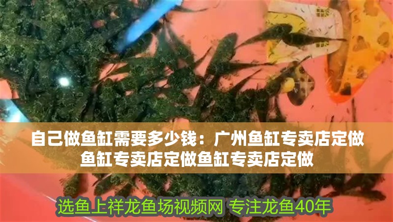 自己做魚缸需要多少錢：廣州魚缸專賣店定做魚缸專賣店定做魚缸專賣店定做