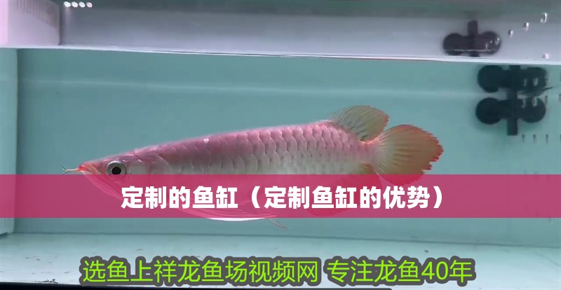 定制的魚缸（定制魚缸的優勢）