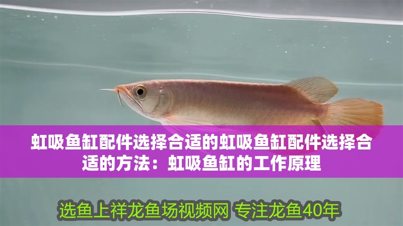 虹吸魚缸配件選擇合適的虹吸魚缸配件選擇合適的方法：虹吸魚缸的工作原理