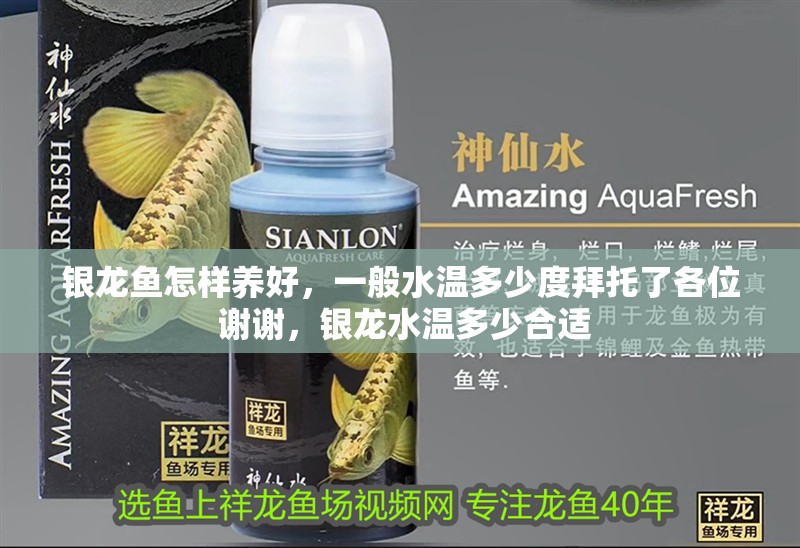 銀龍魚怎樣養好，一般水溫多少度拜托了各位 謝謝，銀龍水溫多少合適