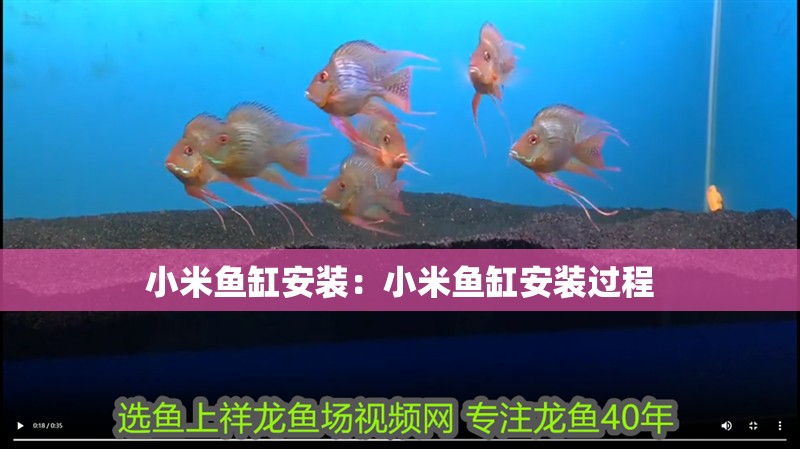 小米魚缸安裝：小米魚缸安裝過程