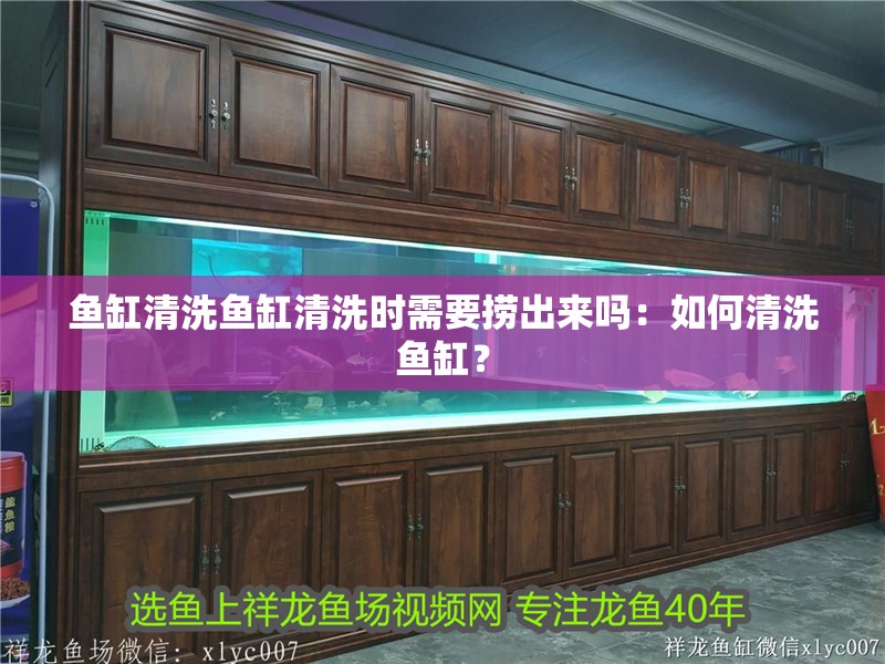 魚缸清洗魚缸清洗時(shí)需要撈出來(lái)嗎：如何清洗魚缸？