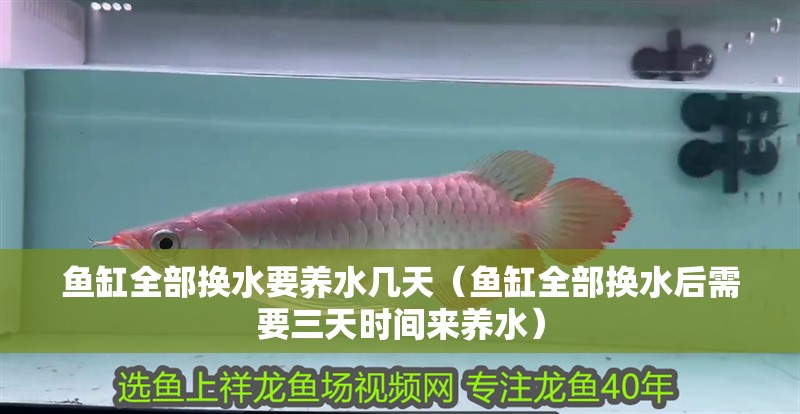 魚缸全部換水要養水幾天（魚缸全部換水后需要三天時間來養水）