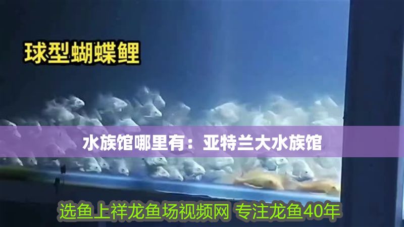 水族館哪里有：亞特蘭大水族館 水族館哪里有：亞特蘭大水族館 水族館百科（水族館加盟） 第1張
