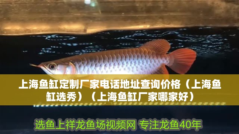 上海魚(yú)缸定制廠家電話地址查詢價(jià)格（上海魚(yú)缸選秀）（上海魚(yú)缸廠家哪家好） 上海魚(yú)缸定制廠家電話地址查詢價(jià)格（上海魚(yú)缸選秀）（上海魚(yú)缸廠家哪家好） 魚(yú)缸百科
