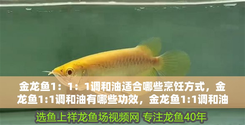 金龍魚1：1：1調和油適合哪些烹飪方式，金龍魚1:1調和油有哪些功效，金龍魚1:1調和油的全年使用指南