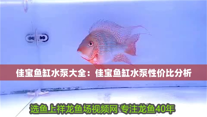 佳寶魚缸水泵大全：佳寶魚缸水泵性價比分析 佳寶魚缸水泵大全：佳寶魚缸水泵性價比分析 魚缸百科