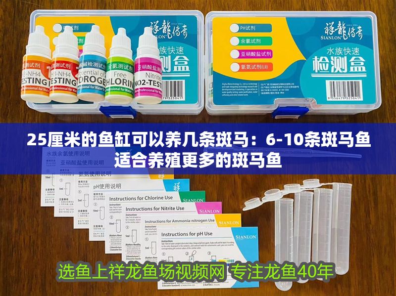 25厘米的魚缸可以養幾條斑馬：6-10條斑馬魚適合養殖更多的斑馬魚