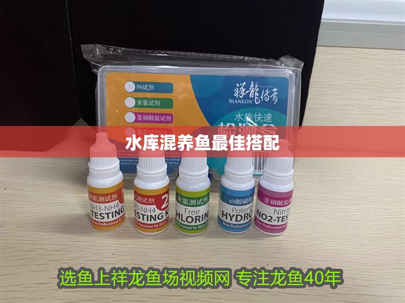 水庫混養魚最佳搭配 水庫混養魚最佳搭配 龍魚論壇