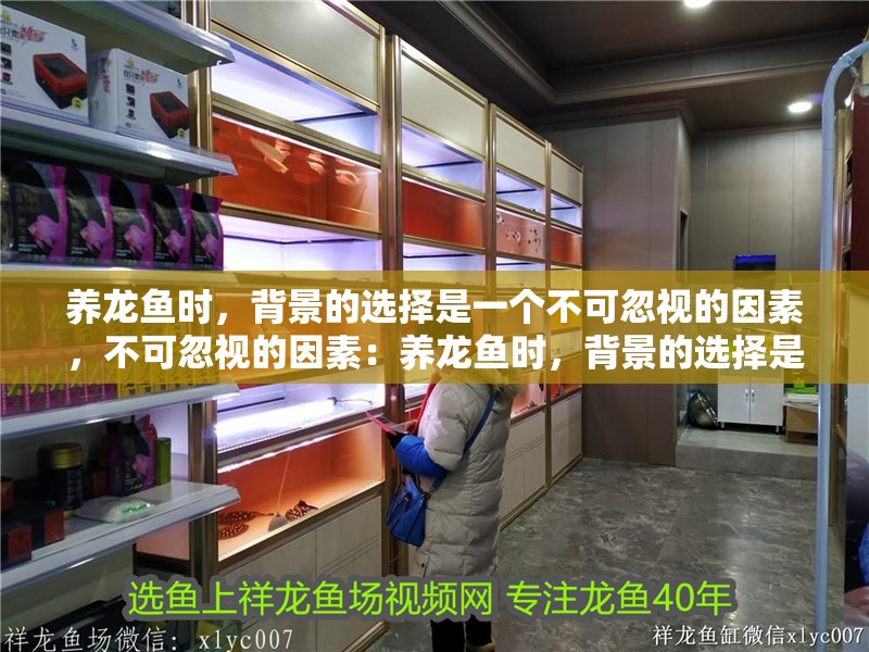 養(yǎng)龍魚(yú)時(shí)，背景的選擇是一個(gè)不可忽視的因素，不可忽視的因素：養(yǎng)龍魚(yú)時(shí)，背景的選擇是一個(gè)不可忽視的因素，不僅能增強(qiáng)觀賞效果