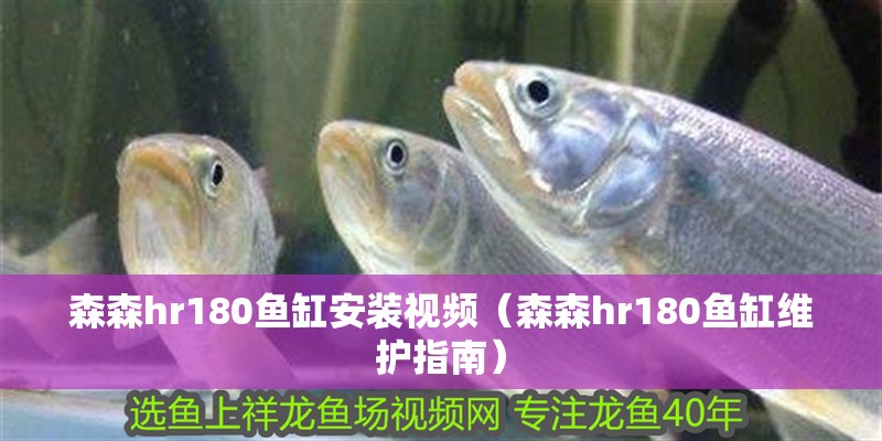 森森hr180魚缸安裝視頻（森森hr180魚缸維護指南）