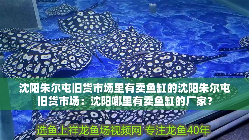 沈陽(yáng)朱爾屯舊貨市場(chǎng)里有賣(mài)魚(yú)缸的沈陽(yáng)朱爾屯舊貨市場(chǎng)：沈陽(yáng)哪里有賣(mài)魚(yú)缸的廠家？