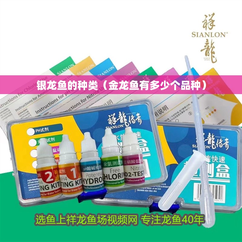 銀龍魚的種類（金龍魚有多少個品種）