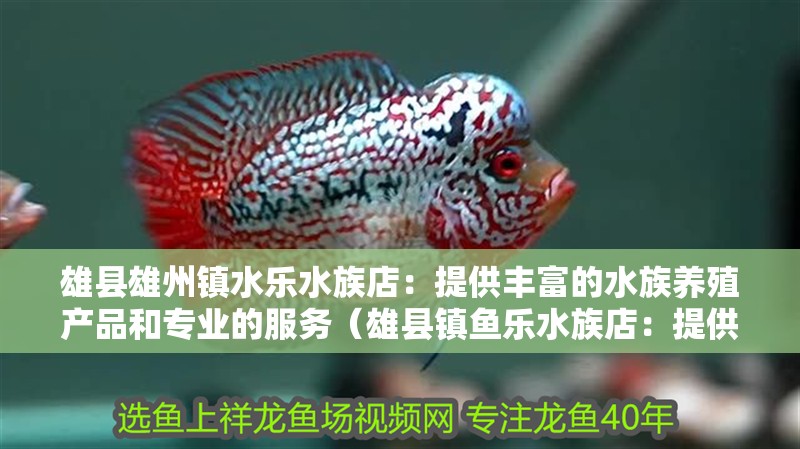 雄縣雄州鎮水樂水族店：提供豐富的水族養殖產品和專業的服務（雄縣鎮魚樂水族店：提供豐富的水族養殖產品和專業的服務）