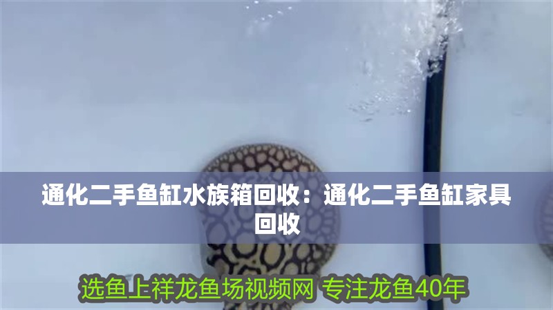 通化二手魚缸水族箱回收：通化二手魚缸家具回收