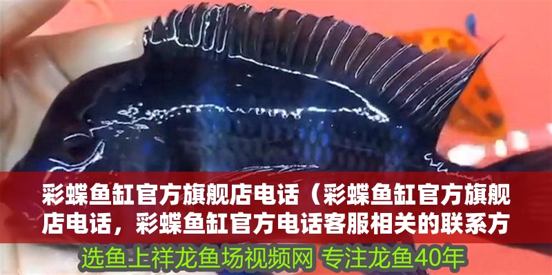 彩蝶魚缸官方旗艦店電話（彩蝶魚缸官方旗艦店電話，彩蝶魚缸官方電話客服相關(guān)的聯(lián)系方式是...）
