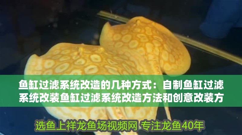 魚缸過濾系統改造的幾種方式：自制魚缸過濾系統改裝魚缸過濾系統改造方法和創意改裝方法 魚缸過濾系統改造的幾種方式：自制魚缸過濾系統改裝魚缸過濾系統改造方法和創意改裝方法 魚缸百科
