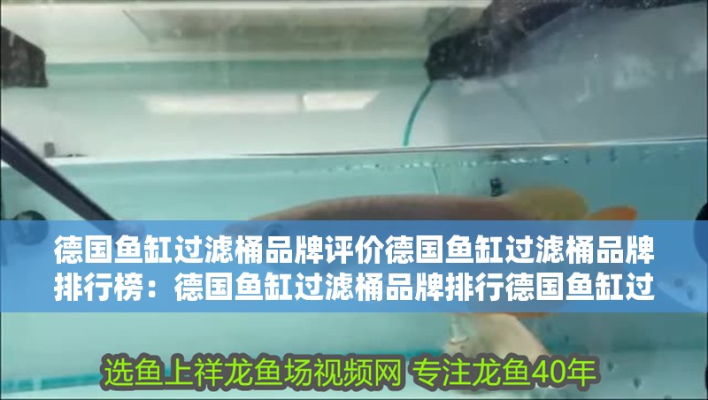 德國魚缸過濾桶品牌評價德國魚缸過濾桶品牌排行榜：德國魚缸過濾桶品牌排行德國魚缸過濾桶品牌排行榜 德國魚缸過濾桶品牌評價德國魚缸過濾桶品牌排行榜：德國魚缸過濾桶品牌排行德國魚缸過濾桶品牌排行榜 魚缸百科