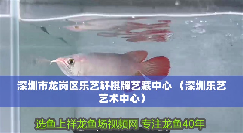 深圳市龍崗區(qū)樂藝軒棋牌藝藏中心 （深圳樂藝藝術(shù)中心）
