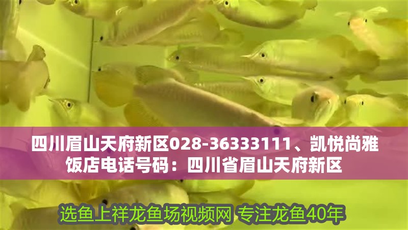 四川眉山天府新區028-36333111、凱悅尚雅飯店電話號碼：四川省眉山天府新區