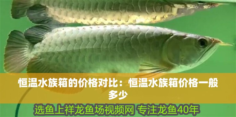 恒溫水族箱的價格對比：恒溫水族箱價格一般多少