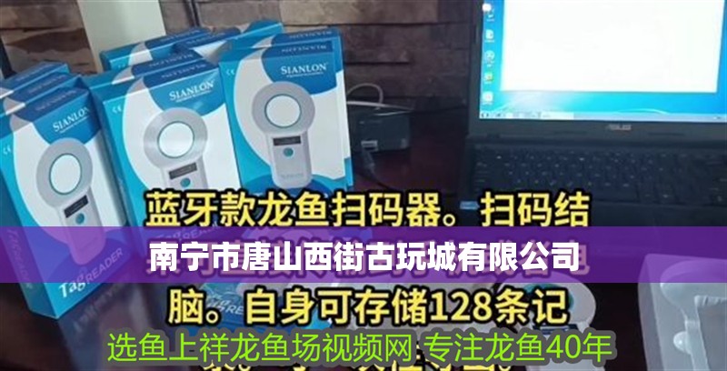 南寧市唐山西街古玩城有限公司 南寧市唐山西街古玩城有限公司 全國水族館企業名錄