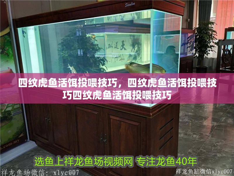 四紋虎魚活餌投喂技巧，四紋虎魚活餌投喂技巧四紋虎魚活餌投喂技巧