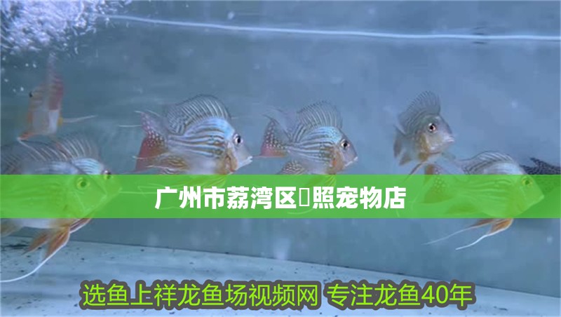 廣州市荔灣區煕照寵物店