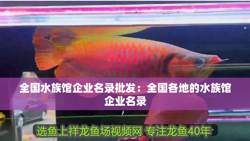 全國水族館企業名錄批發：全國各地的水族館企業名錄 全國水族館企業名錄批發：全國各地的水族館企業名錄 龍魚百科