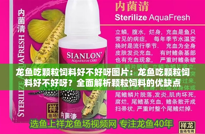 龍魚吃顆粒飼料好不好呀圖片：龍魚吃顆粒飼料好不好呀？全面解析顆粒飼料的優缺點