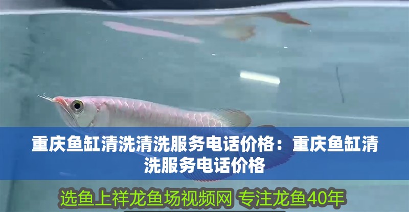重慶魚缸清洗清洗服務電話價格：重慶魚缸清洗服務電話價格 重慶魚缸清洗清洗服務電話價格：重慶魚缸清洗服務電話價格 魚缸百科